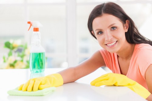 Professional domestic cleaning in a Belsizepark home
