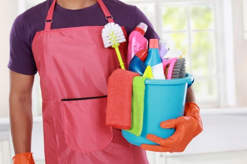 Detailed oven cleaning for a busy Belsizepark household