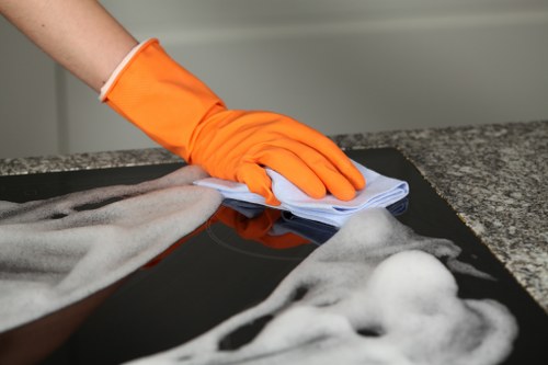 Professional cleaners in Belsizepark working in a modern home