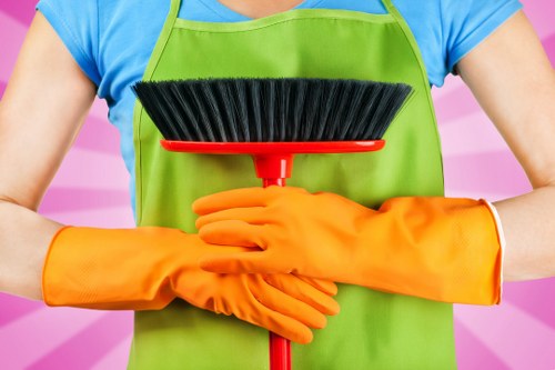 Professional carpet cleaning in a Belsize Park property