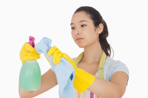 Fresh and tidy home interior with domestic cleaning in Belsizepark