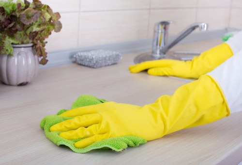 Domestic cleaning service in a Belsizepark home kitchen