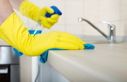 Rug and upholstery cleaning as part of home care