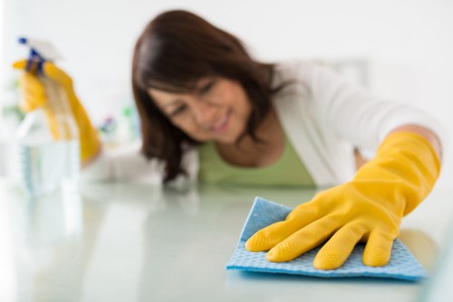 Risk-based supplier audits in the carpet cleaning supply chain