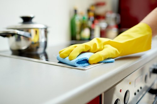 Bathroom detailing during deep cleaning in Belsize Park