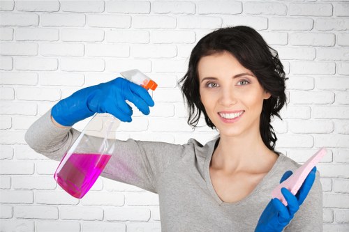 Local Belsizepark cleaning service for kitchens and living spaces