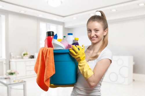 Domestic cleaning service in a modern Belsizepark apartment kitchen