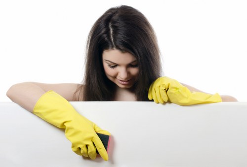 Stain removal treatment by a carpet cleaner in Belsizepark