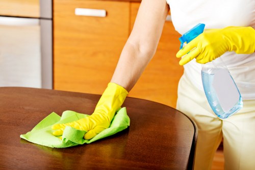 Detailed housekeeping in a Belsizepark apartment